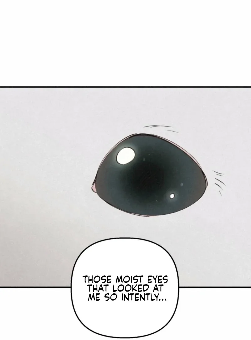The Summer Swallowed by Darkness Chapter 22 page 54
