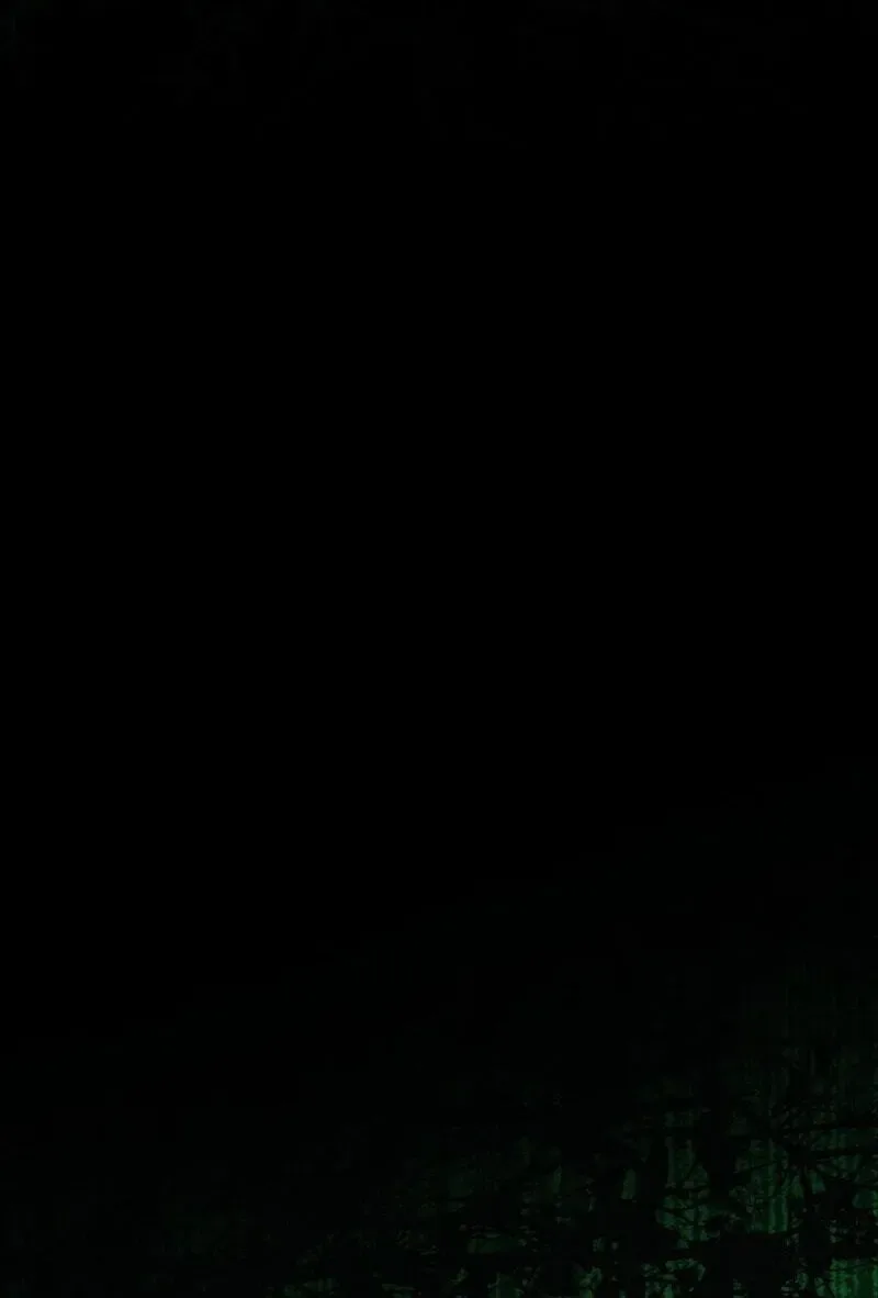 The Summer Swallowed by Darkness Chapter 65 page 67