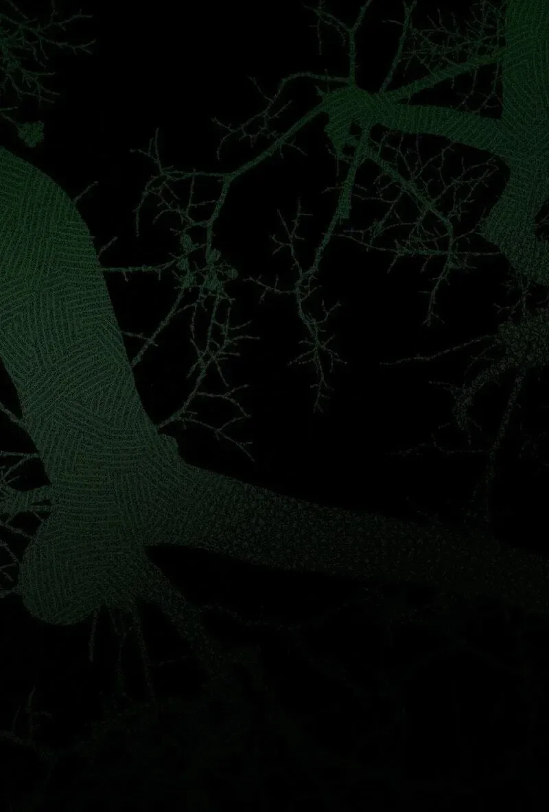 The Summer Swallowed by Darkness Chapter 65 page 66
