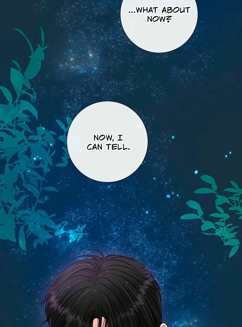 The Summer When You Came Chapter 32 page 80