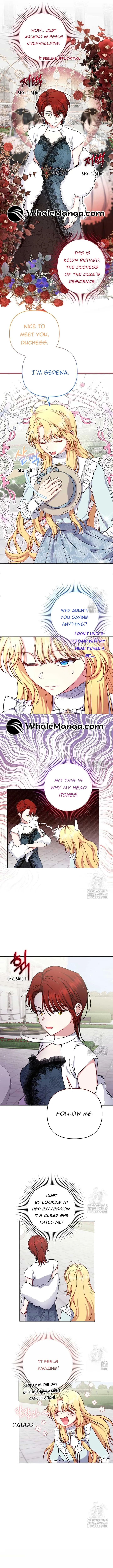 The Supporting Duck Waiting for the Breakup Chapter 12 page 5