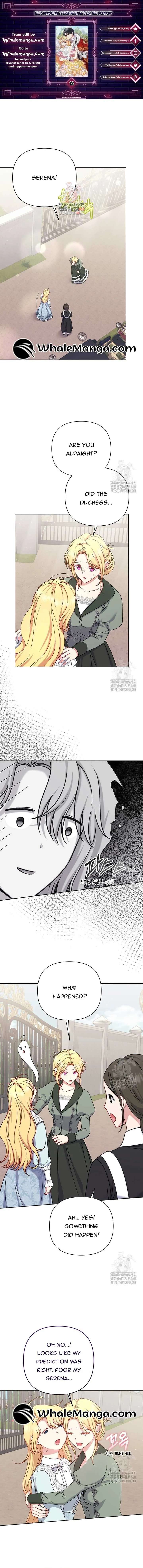 The Supporting Duck Waiting for the Breakup Chapter 13 page 2