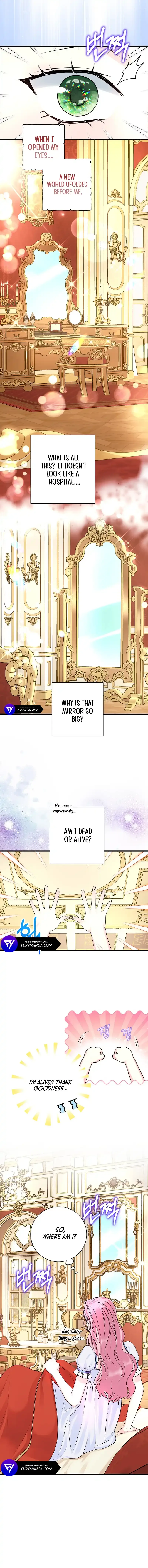 The Terminally-Ill Villain Supports my Broken Engagement Chapter 2 page 7