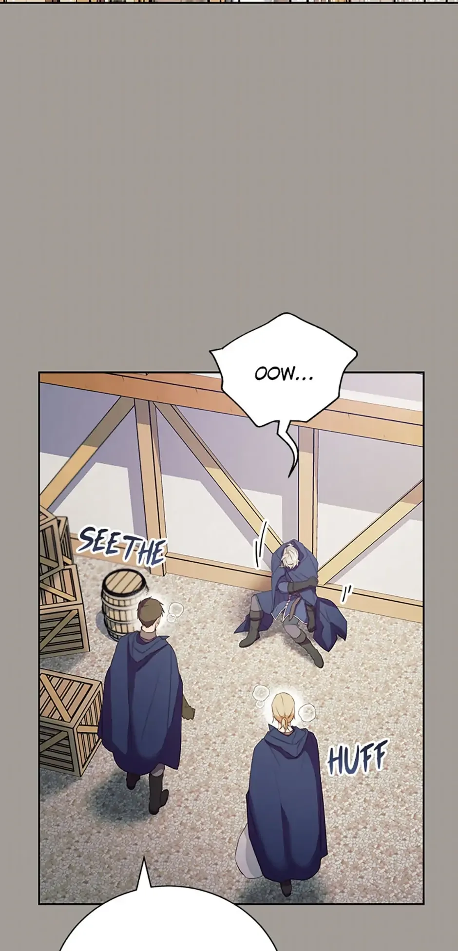 The Tyrant Princess Wants to Get Married! Chapter 37 page 11