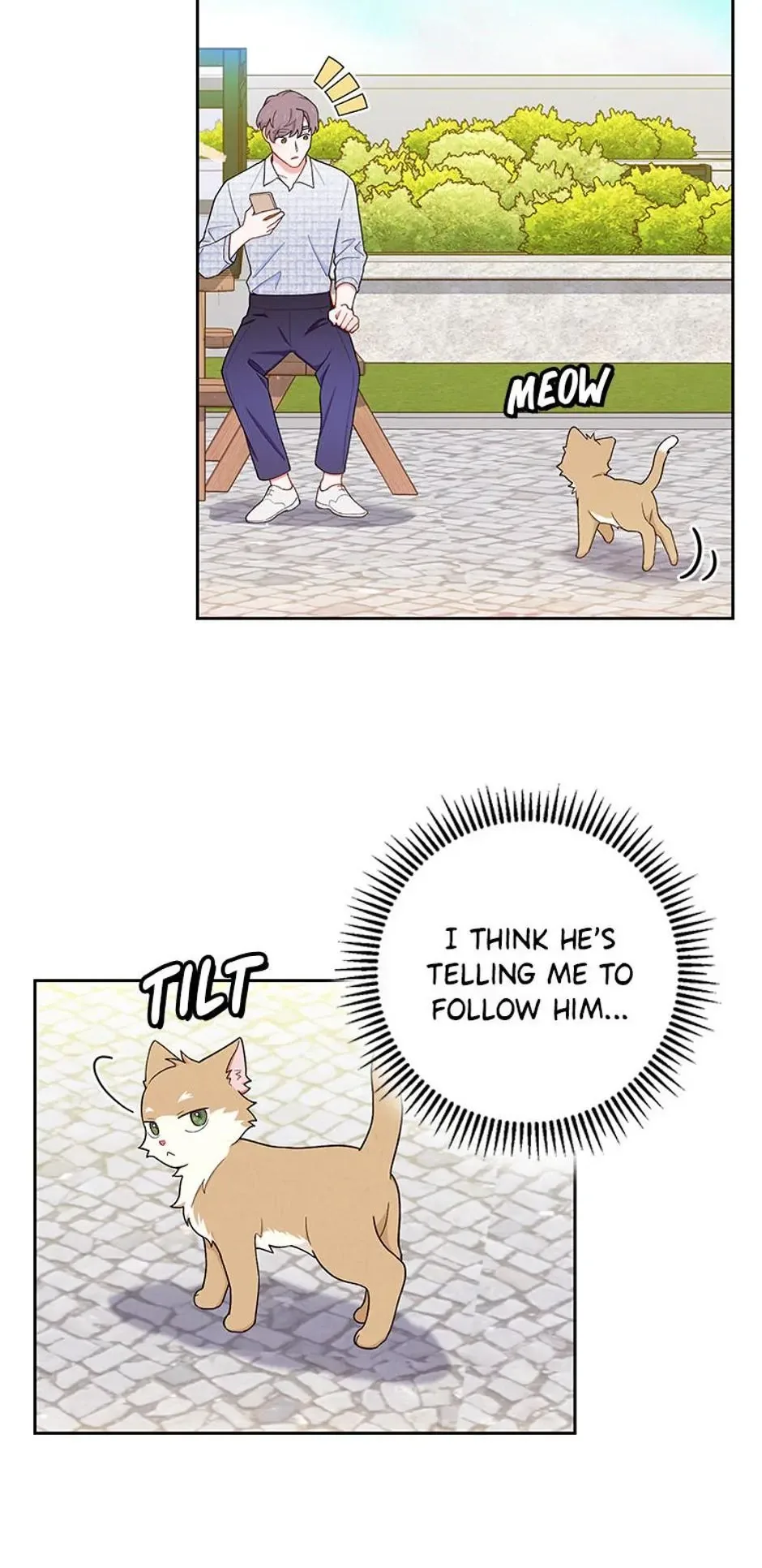 The Tyrant Princess Wants to Get Married! Chapter 51 page 57
