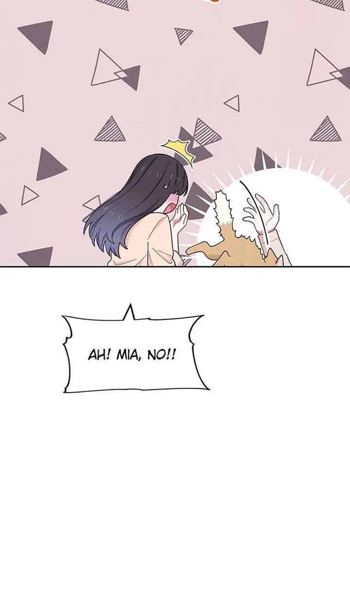 The Tyrant Princess Wants to Get Married! Chapter 55 page 95