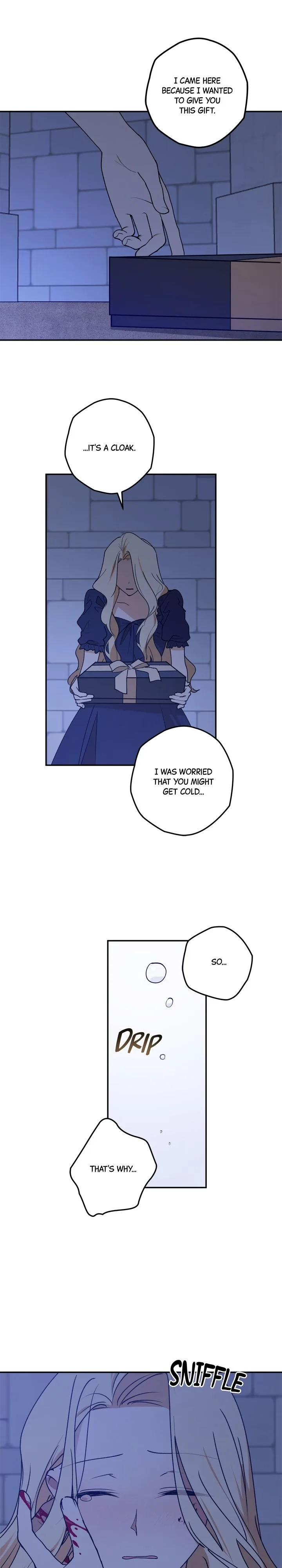 The Tyrant’s Comfort Doll Chapter 46.5 page 13