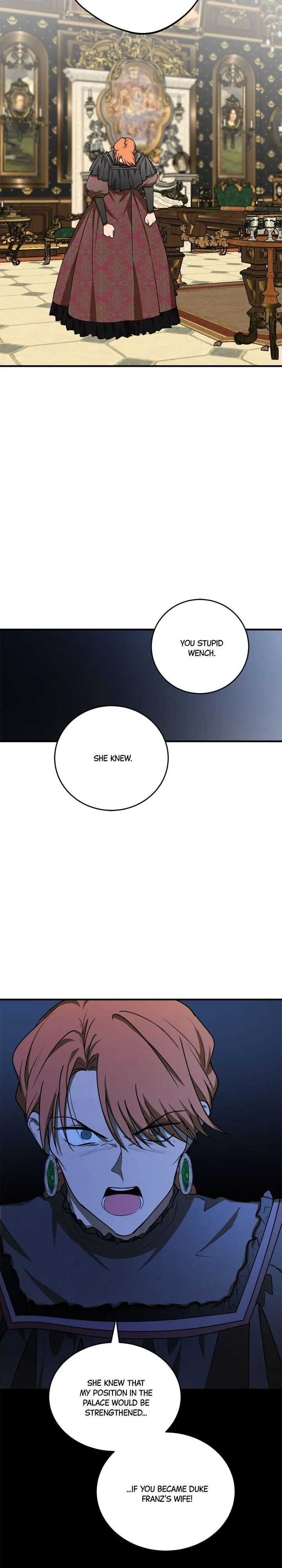 The Tyrant’s Comfort Doll Chapter 48.5 page 8