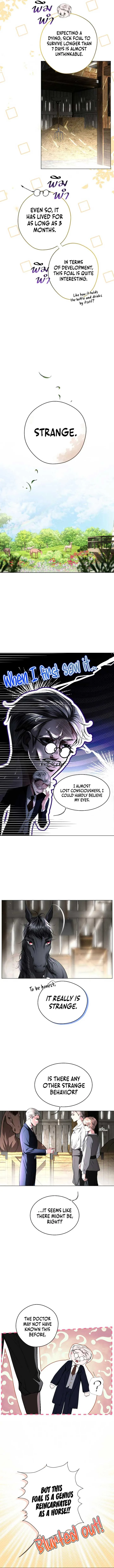 The Tyrant’s Loyal Warhorse Chapter 5 page 4
