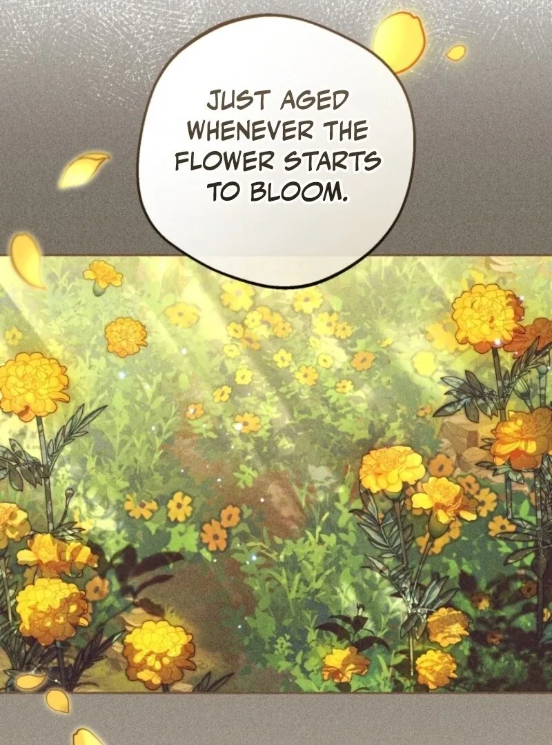 The Villainess Is Shy In Receiving Love Chapter 100 page 106