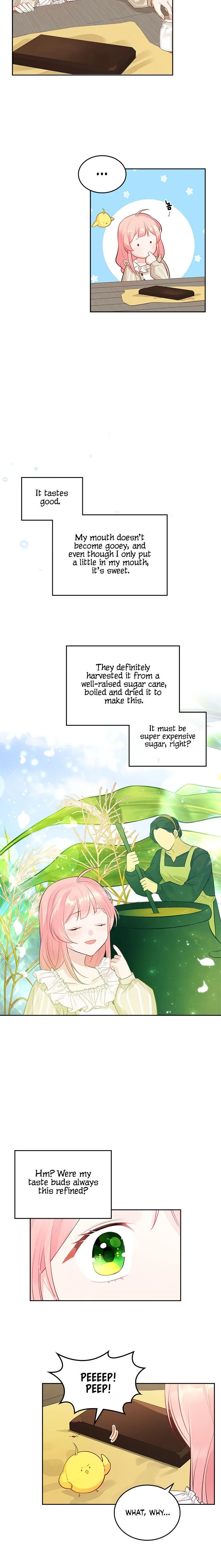 The Villainous Princess Wants to Live in a Gingerbread House Chapter 4 page 12