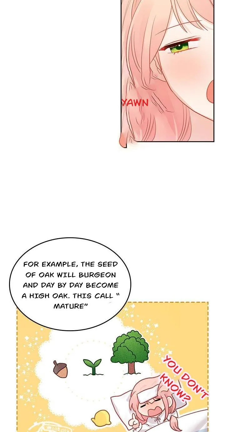 The Villainous Princess Wants to Live in a Gingerbread House Chapter 27.1 page 17