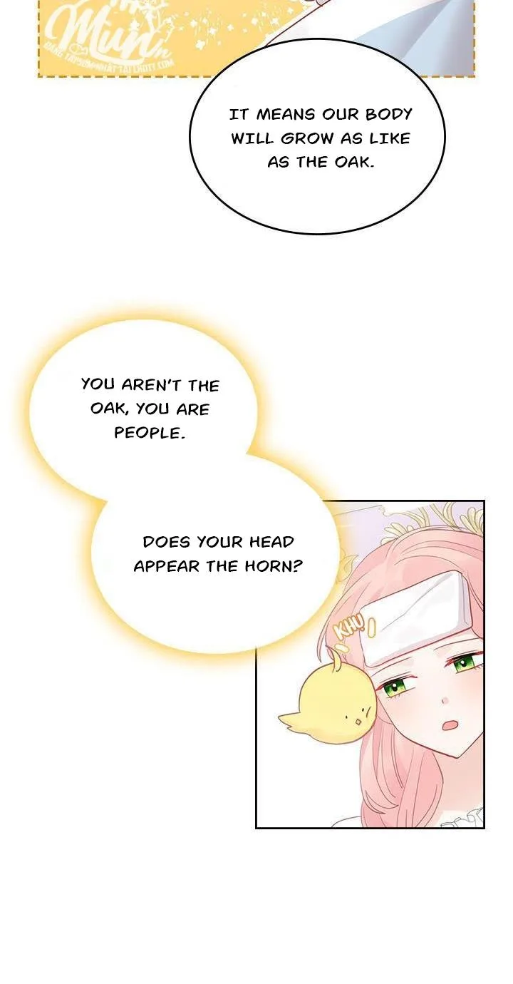 The Villainous Princess Wants to Live in a Gingerbread House Chapter 27.1 page 18