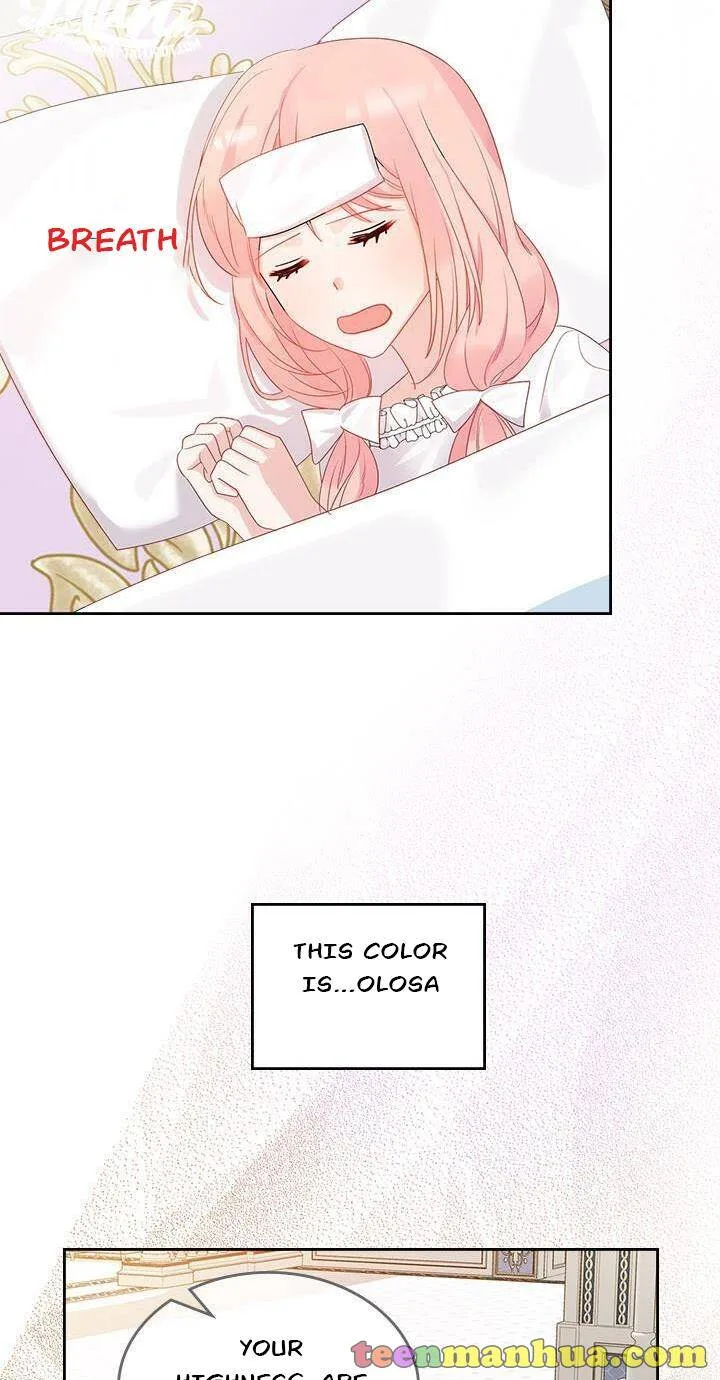 The Villainous Princess Wants to Live in a Gingerbread House Chapter 27.1 page 20