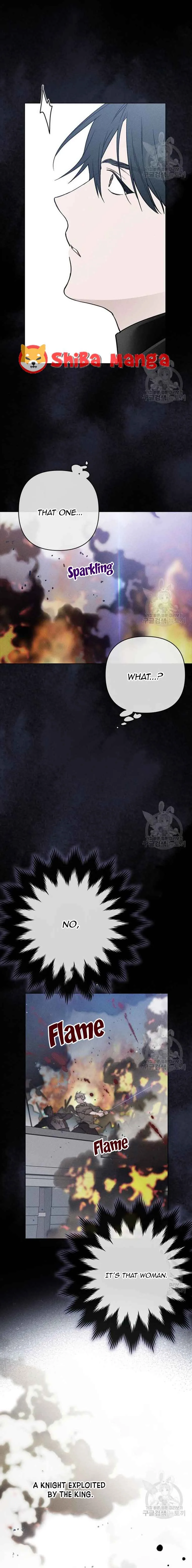 The Way That Knight Lives As a Lady Chapter 114 page 11
