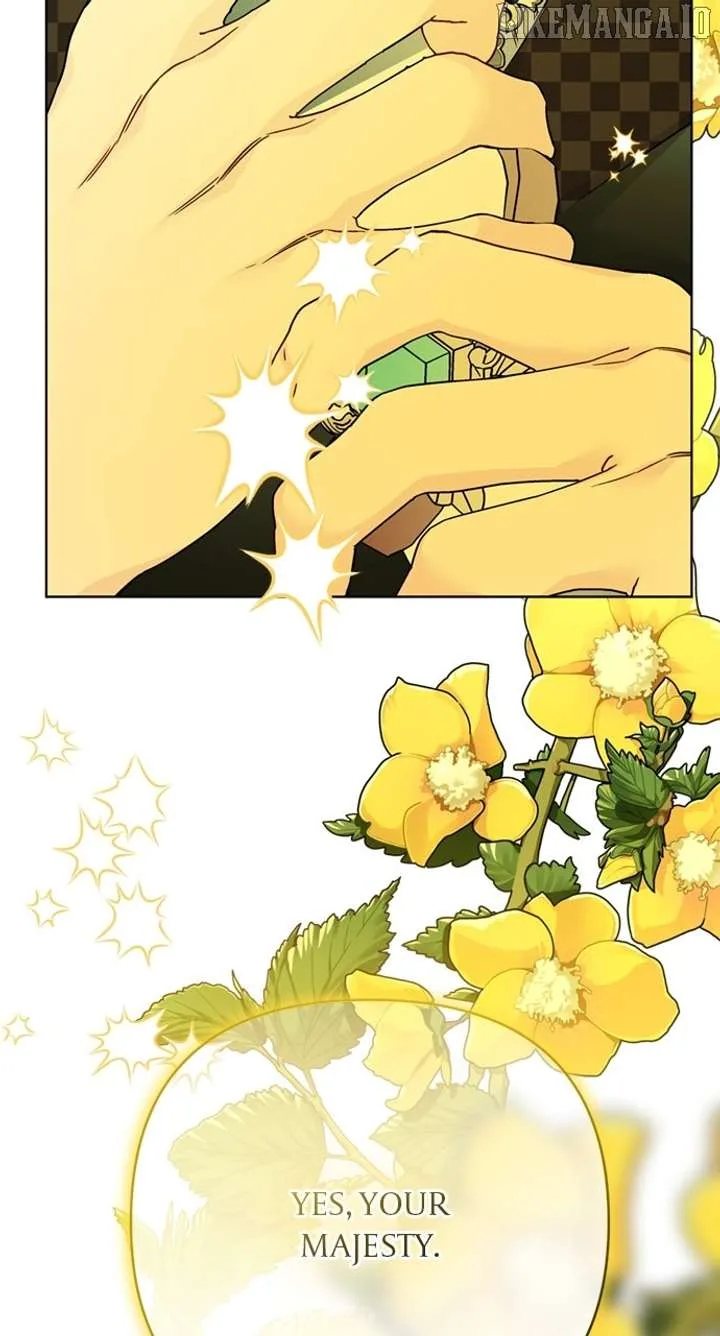 The Way That Knight Lives As a Lady Chapter 178 page 8