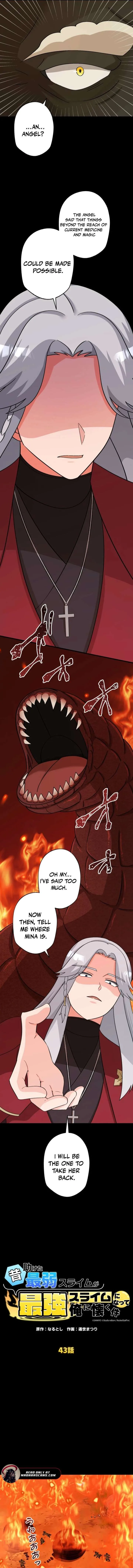 The Weakest Slime I Once Saved Became the Strongest and Now Won’t Leave My Side Chapter 43 page 5