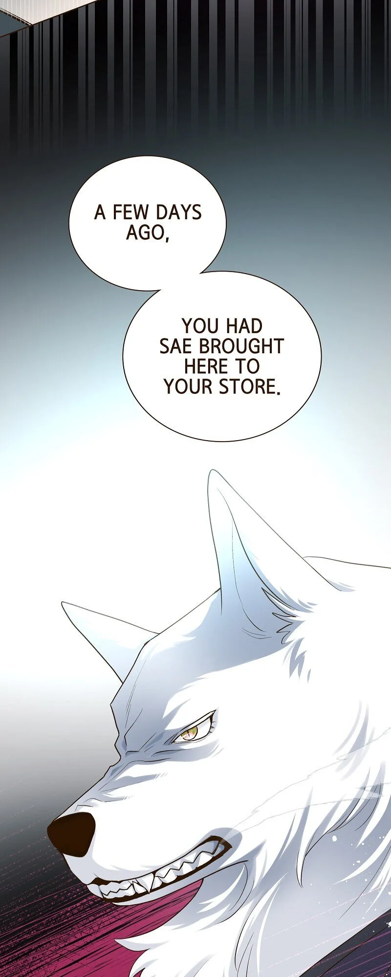The White Wolf’s Bride Chapter 34 page 14