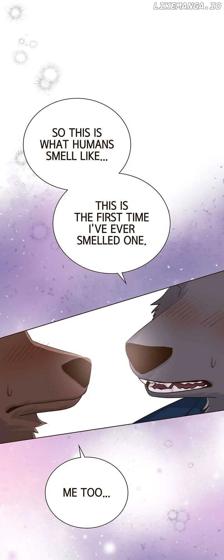 The White Wolf’s Bride Chapter 61 page 46
