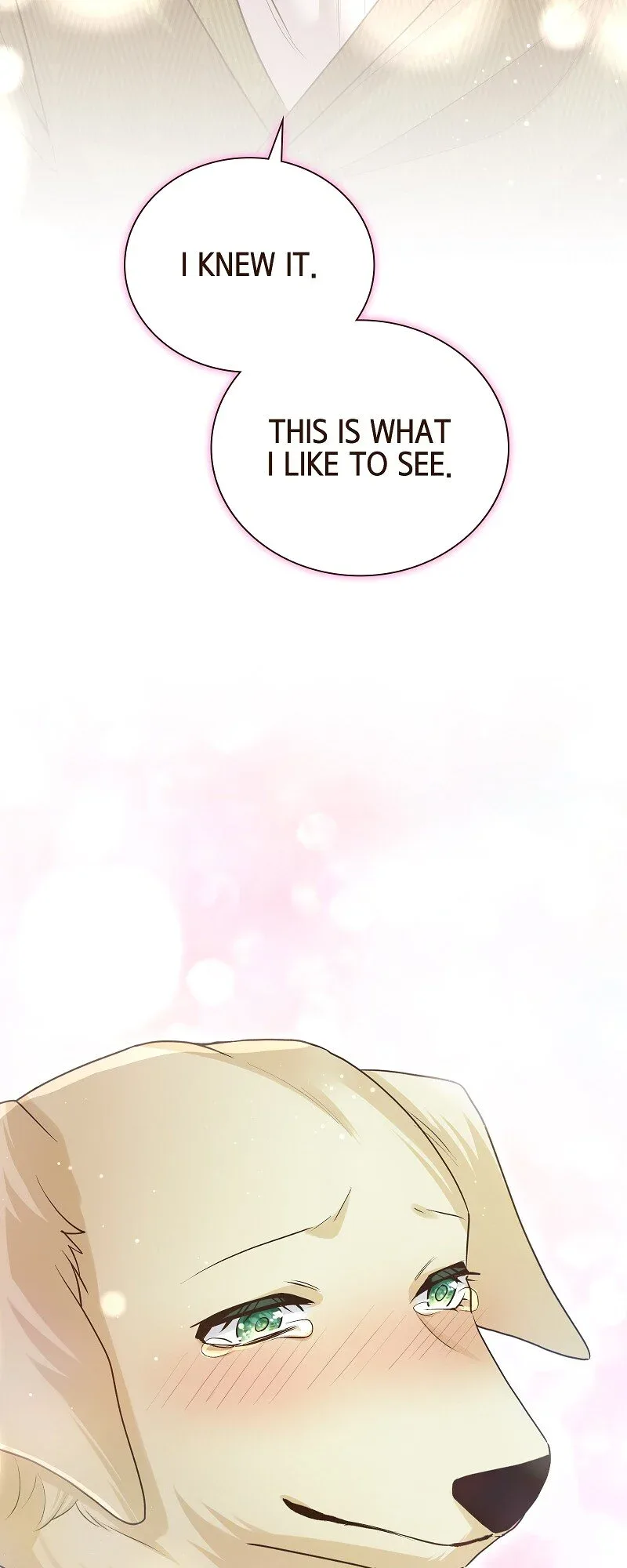The White Wolf’s Bride Chapter 75 page 39