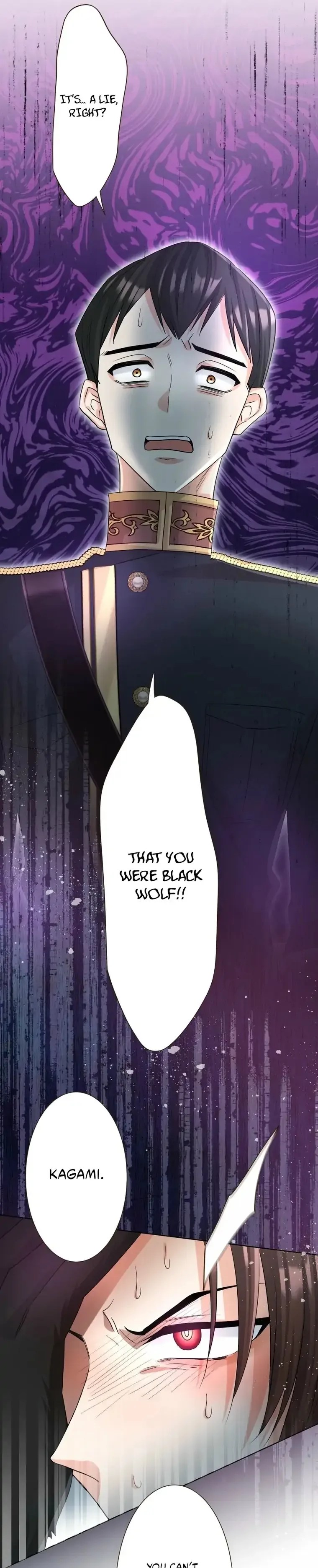 The White Wolf’s Bride Chapter 94 page 17