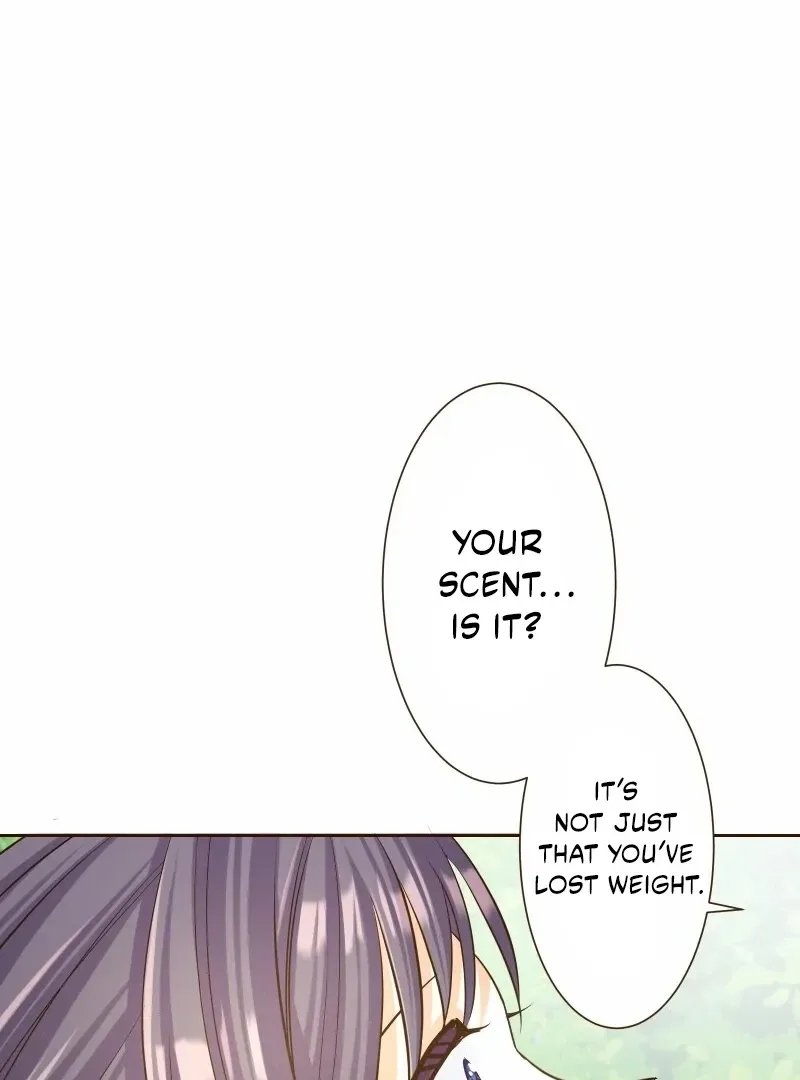 The White Wolf’s Bride Chapter 95 page 99