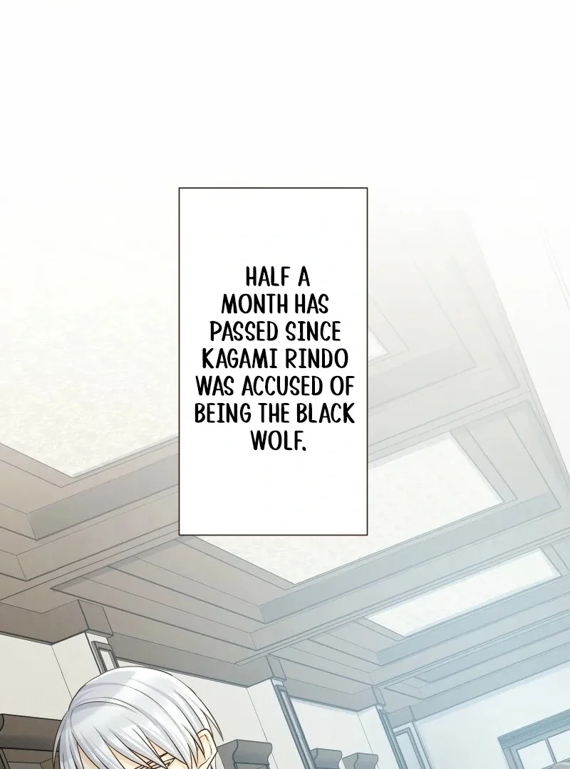 The White Wolf’s Bride Chapter 96 page 43