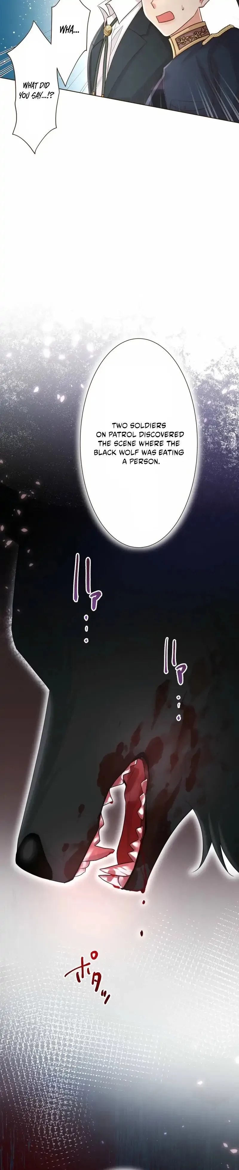 The White Wolf’s Bride Chapter 99 page 25