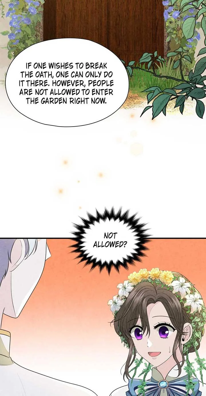 The Wizard and The Tree Chapter 44 page 71