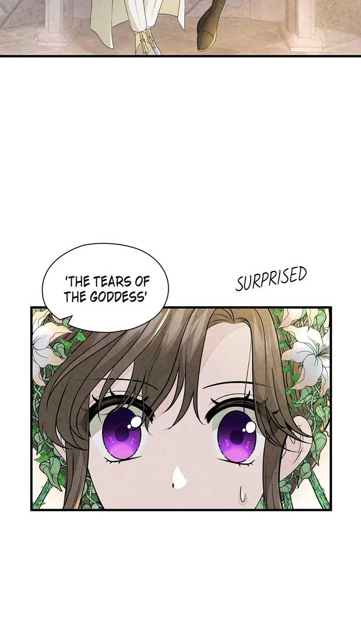 The Wizard and The Tree Chapter 45 page 58