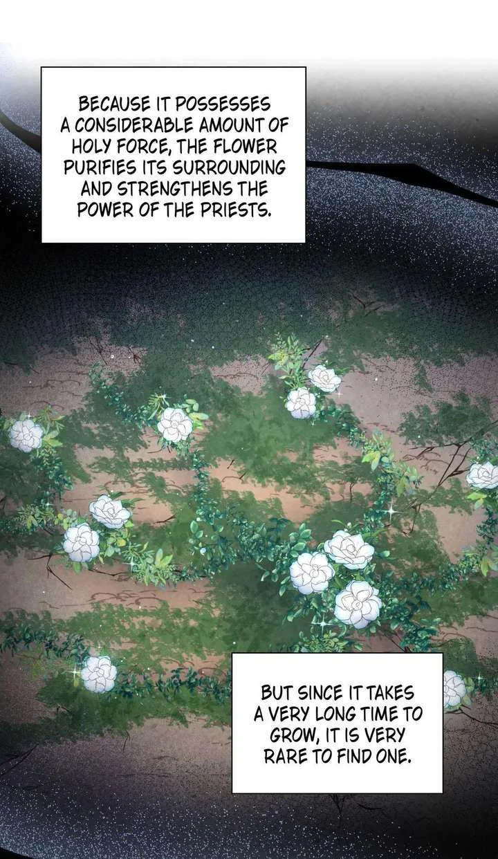 The Wizard and The Tree Chapter 55 page 5