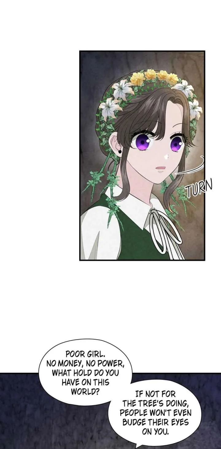 The Wizard and The Tree Chapter 65 page 64