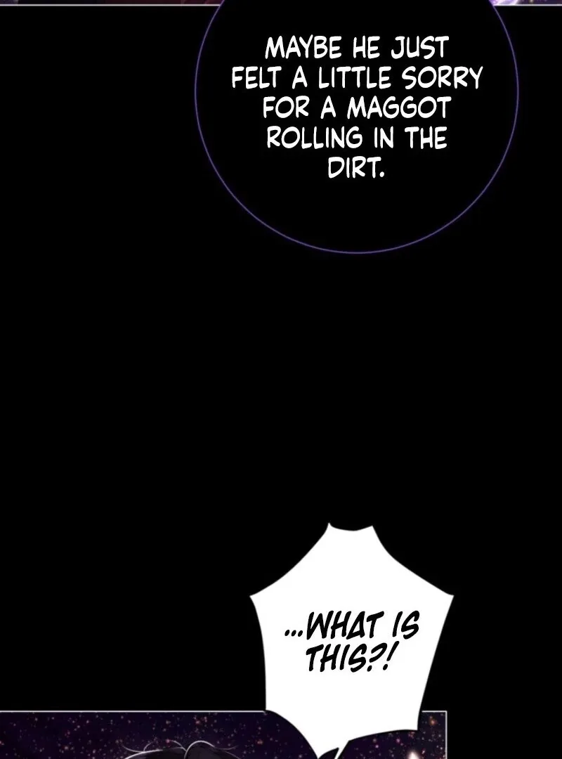 The World Without My Sister Who Everyone Loved Chapter 85 page 31