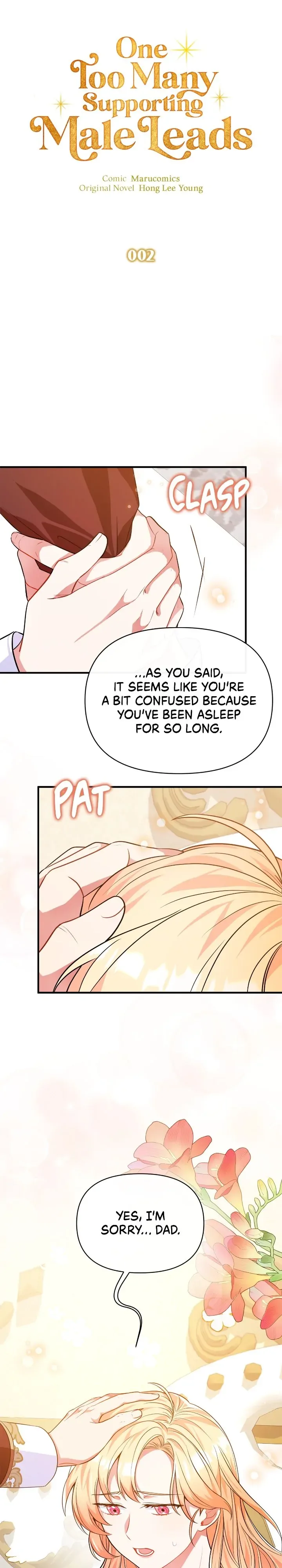 There Are Too Many Second Male Leads! Chapter 2 page 19