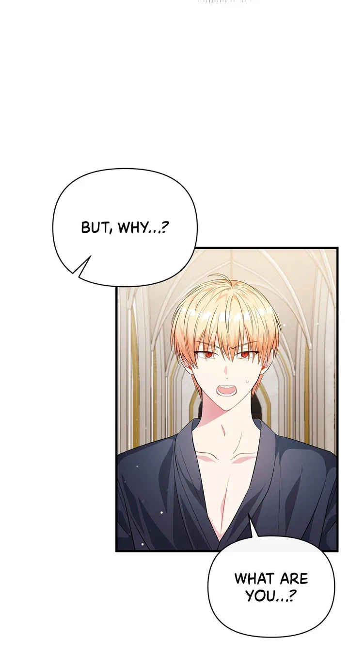 There Are Too Many Second Male Leads! Chapter 4 page 42