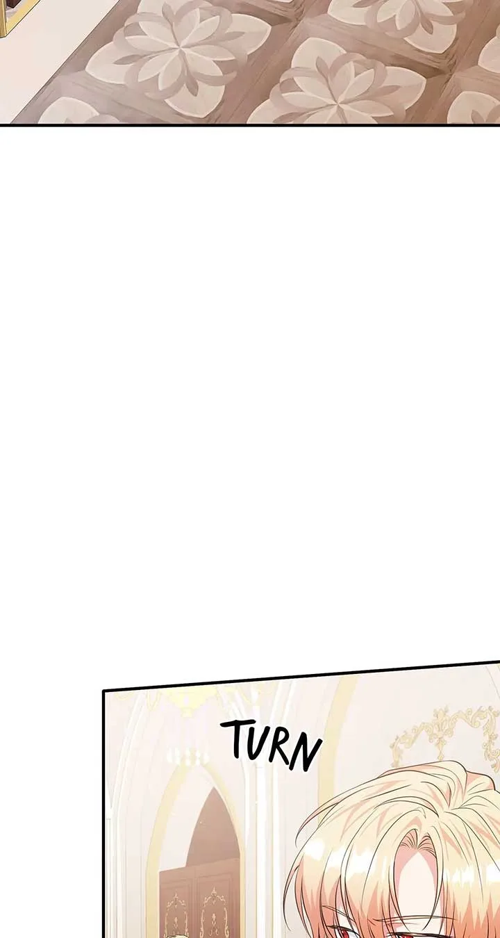 There Are Too Many Second Male Leads! Chapter 11 page 14