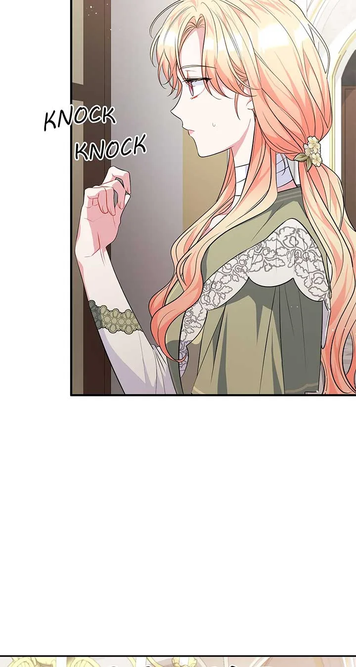 There Are Too Many Second Male Leads! Chapter 13 page 5
