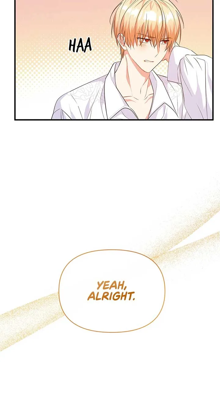 There Are Too Many Second Male Leads! Chapter 14 page 24