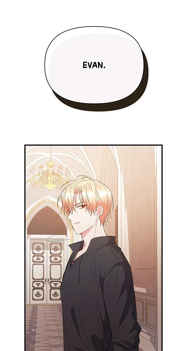 There Are Too Many Second Male Leads! Chapter 14 page 73