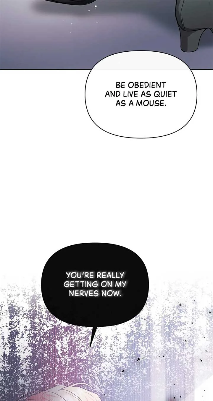 There Are Too Many Second Male Leads! Chapter 14 page 63