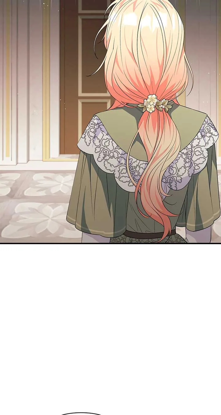 There Are Too Many Second Male Leads! Chapter 13 page 24