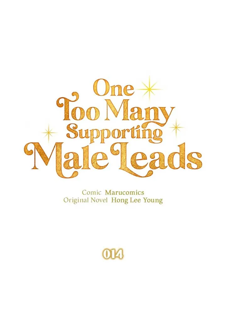 There Are Too Many Second Male Leads! Chapter 14 page 34