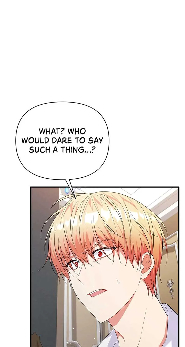 There Are Too Many Second Male Leads! Chapter 14 page 15