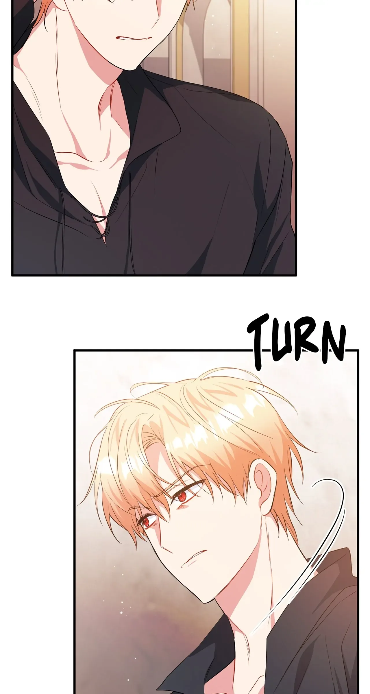 There Are Too Many Second Male Leads! Chapter 15 page 33