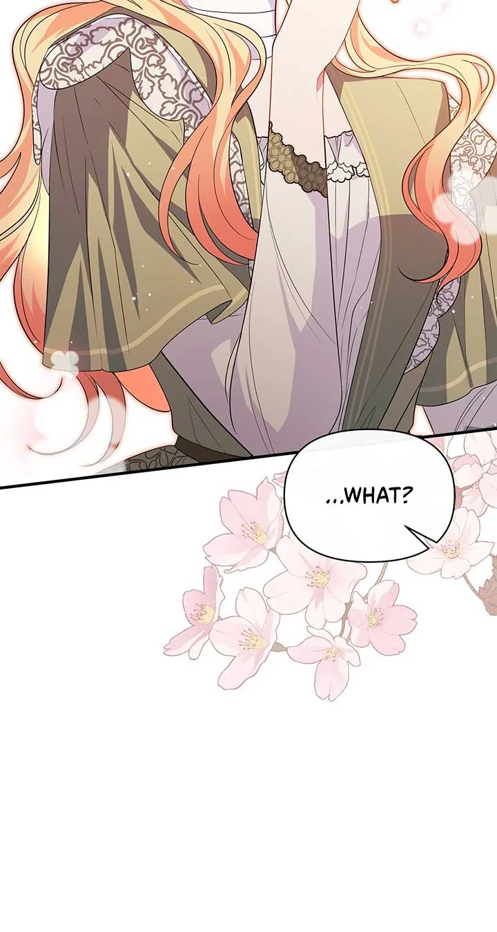There Are Too Many Second Male Leads! Chapter 13 page 65