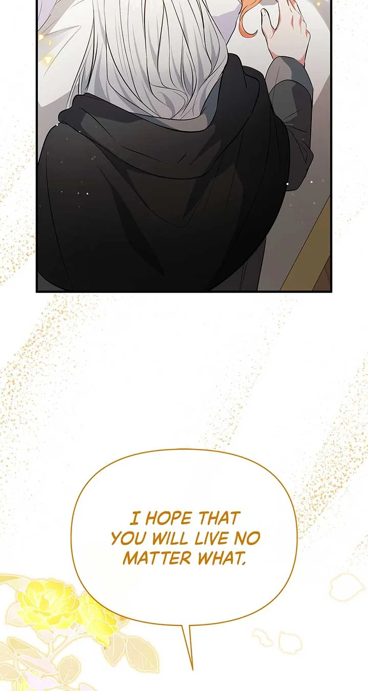 There Are Too Many Second Male Leads! Chapter 17 page 64