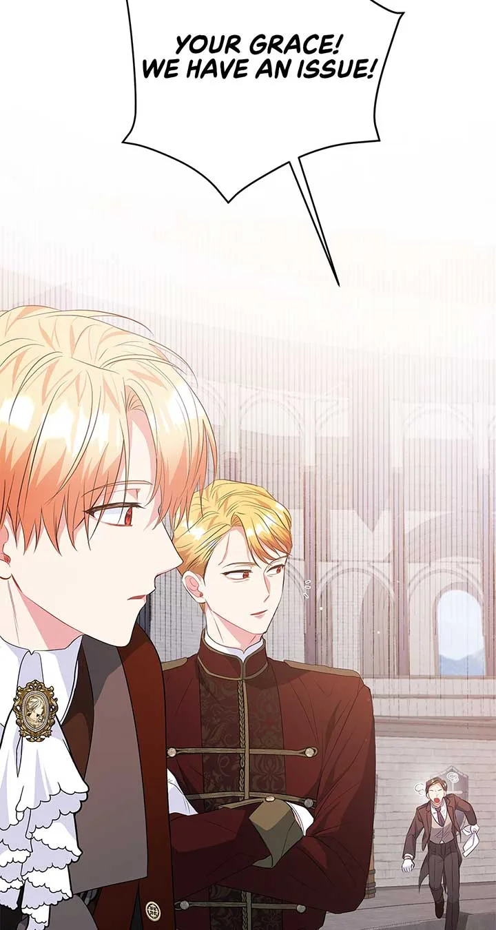 There Are Too Many Second Male Leads! Chapter 17 page 16