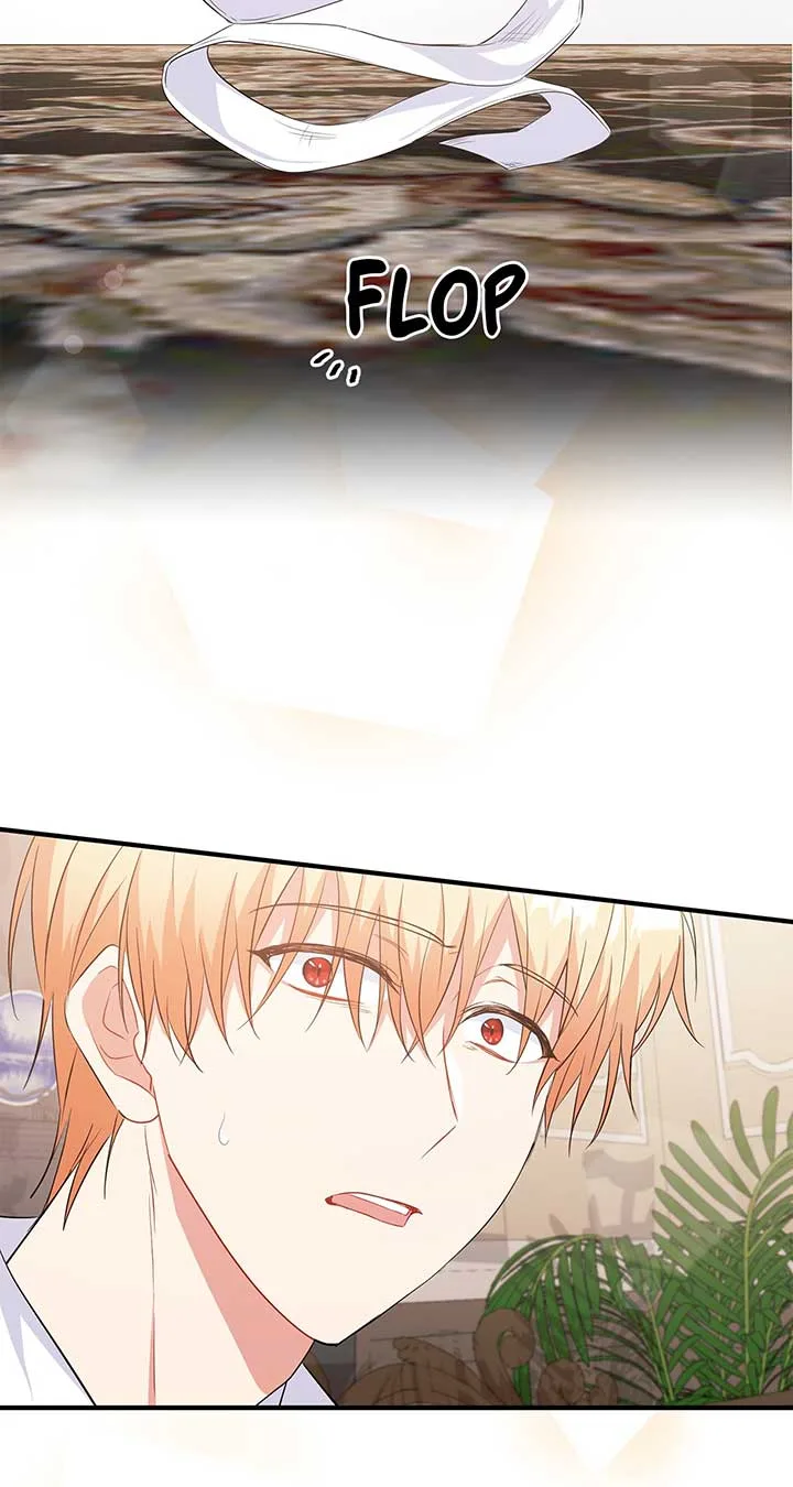 There Are Too Many Second Male Leads! Chapter 13 page 74