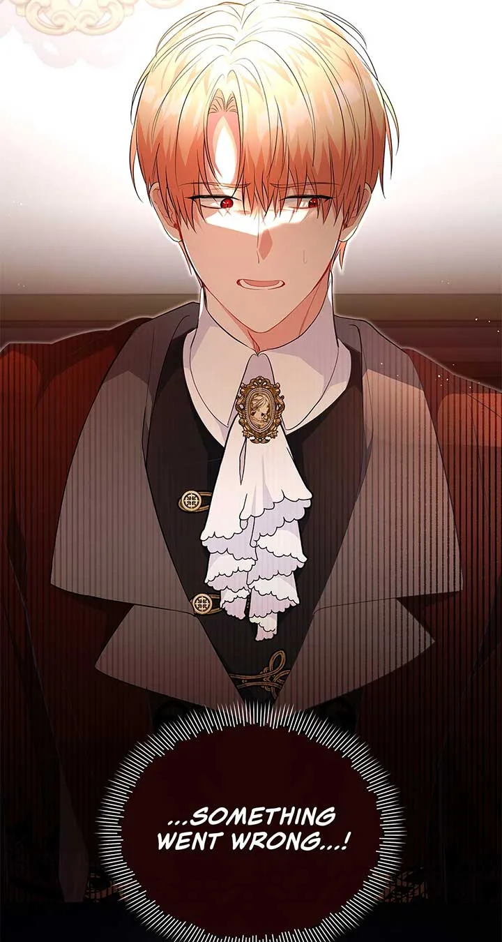 There Are Too Many Second Male Leads! Chapter 18 page 14