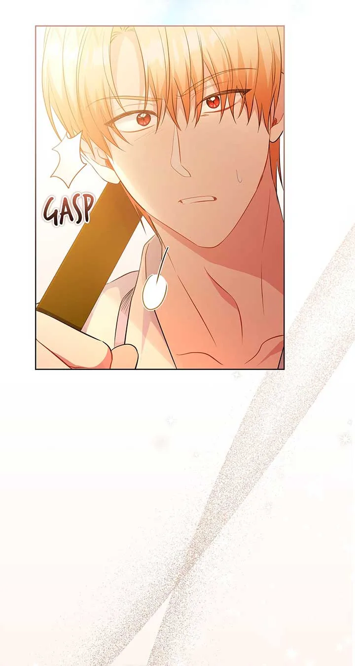 There Are Too Many Second Male Leads! Chapter 21 page 65